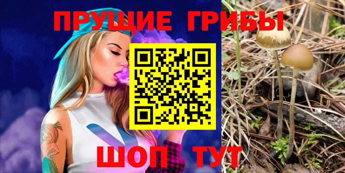 Галлюциногенные грибы MAGIC MUSHROOMS Котовск
