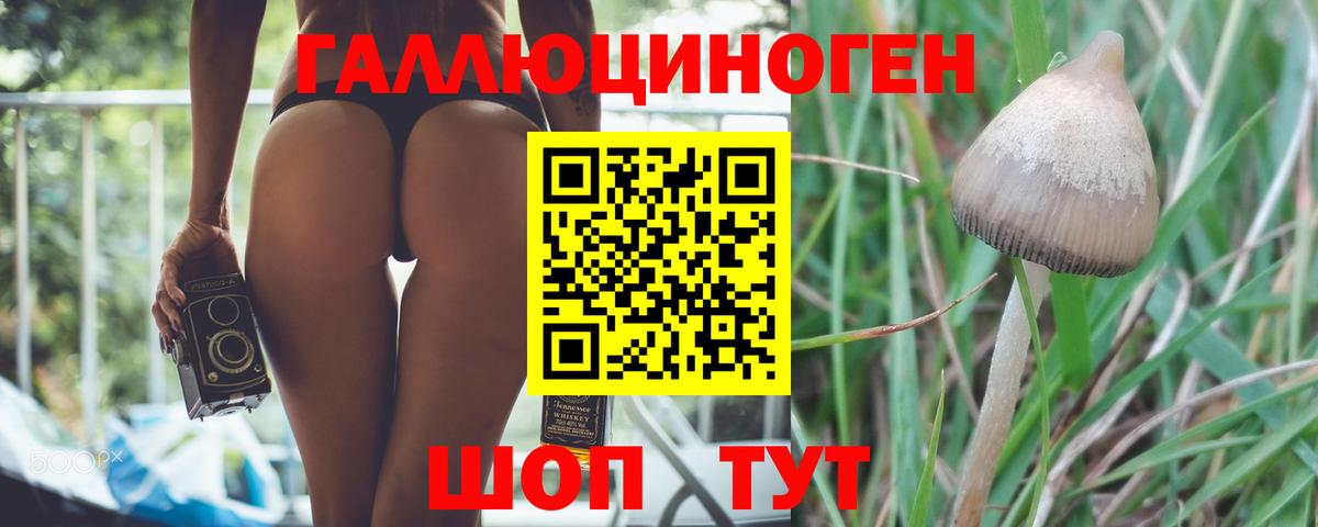 Псилоцибиновые грибы мухоморы  Псилоцибиновые грибы Psilocybe  Вход с VPN  Котовск 